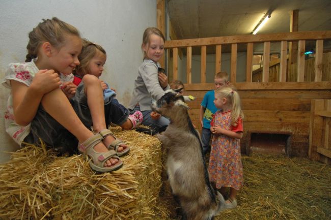 Kinder im Erlebnisstall