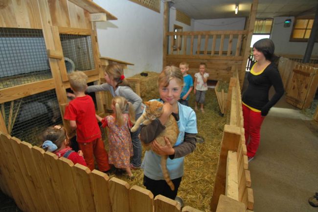 Tiere streicheln, füttern und beim Ausmisten helfen