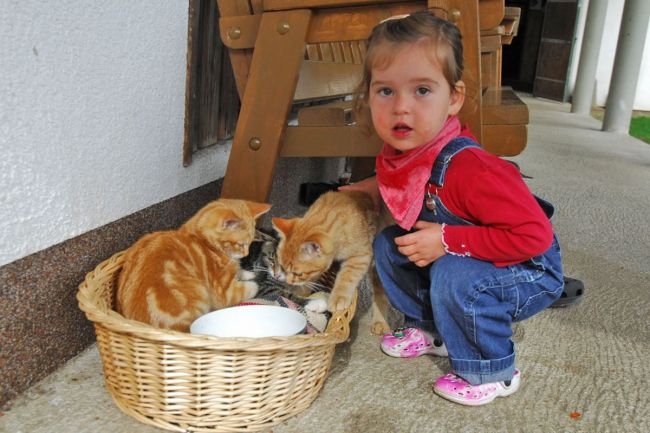 Jedes Jahr kommen viele Tierbabys am Ferienhof zur Welt