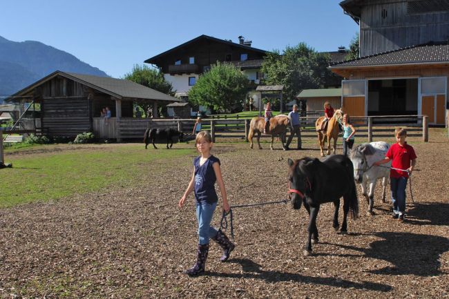 Traumurlaub für alle Pferdeliebhaber