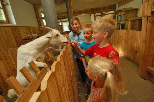 Erlebnisstall für Kinder